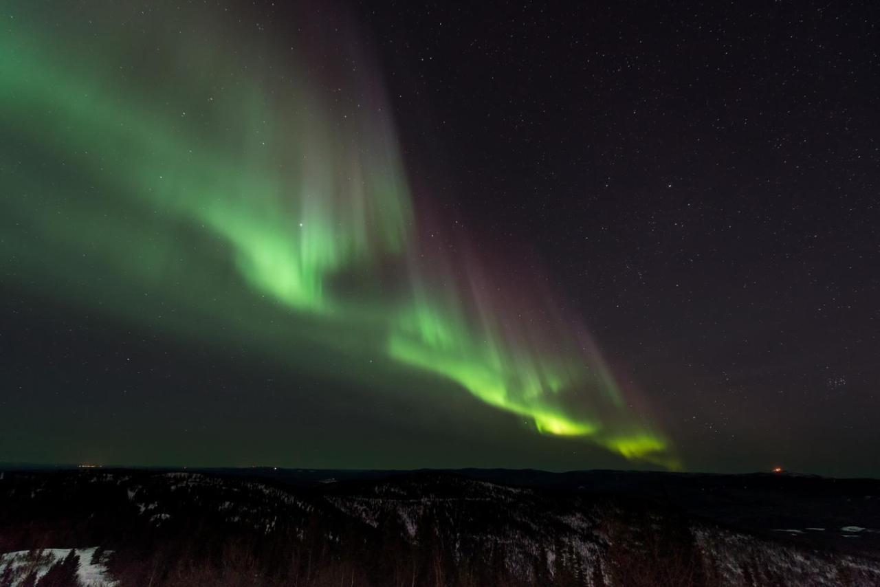 Guesthouse Álfar Hafnarfjörður Esterno foto